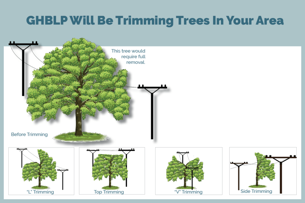 Post Card for Tree Trimming Project-min (3)