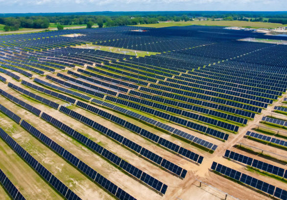 Brandt Woods Solar Panels
