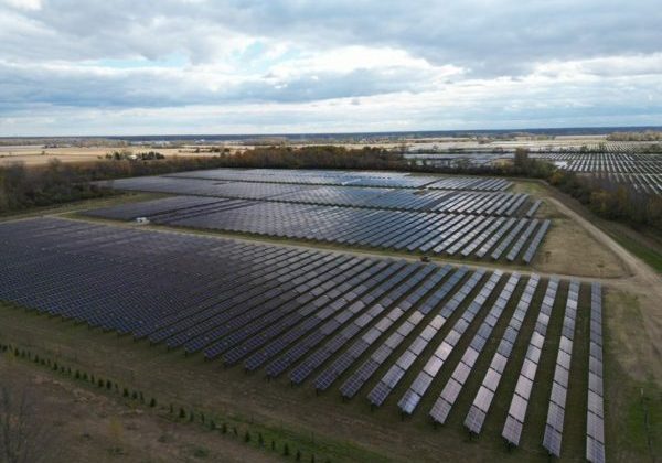 Solar panels at solar farm, White Tail Solar, BLP Adds Renewable Energy to Portfolio