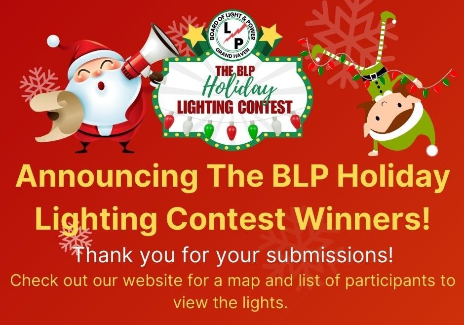 Winners of the lighting contest